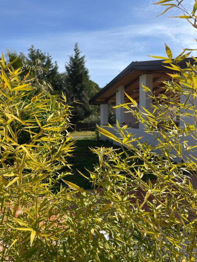Etna Petit Relais Bed and Breakfast Nicolosi Εξωτερικό φωτογραφία